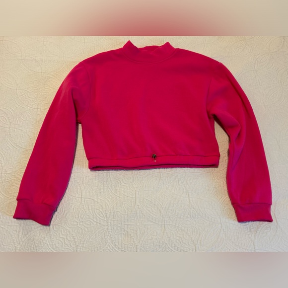 Crop Sweatshirt in Bright Pink - Picture 1 of 4